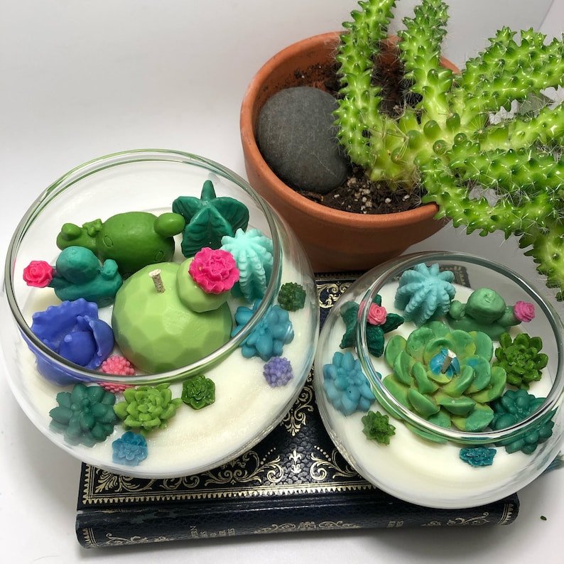 Succulent Cacti Terrarium Garden Handmade Soy Candle/Gifts for Plant Lovers/Gifts for Her/Gifts for Him image 7