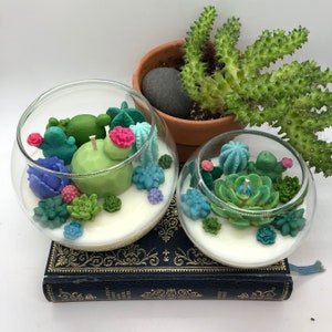 Succulent Cacti Terrarium Garden Handmade Soy Candle/Gifts for Plant Lovers/Gifts for Her/Gifts for Him image 6