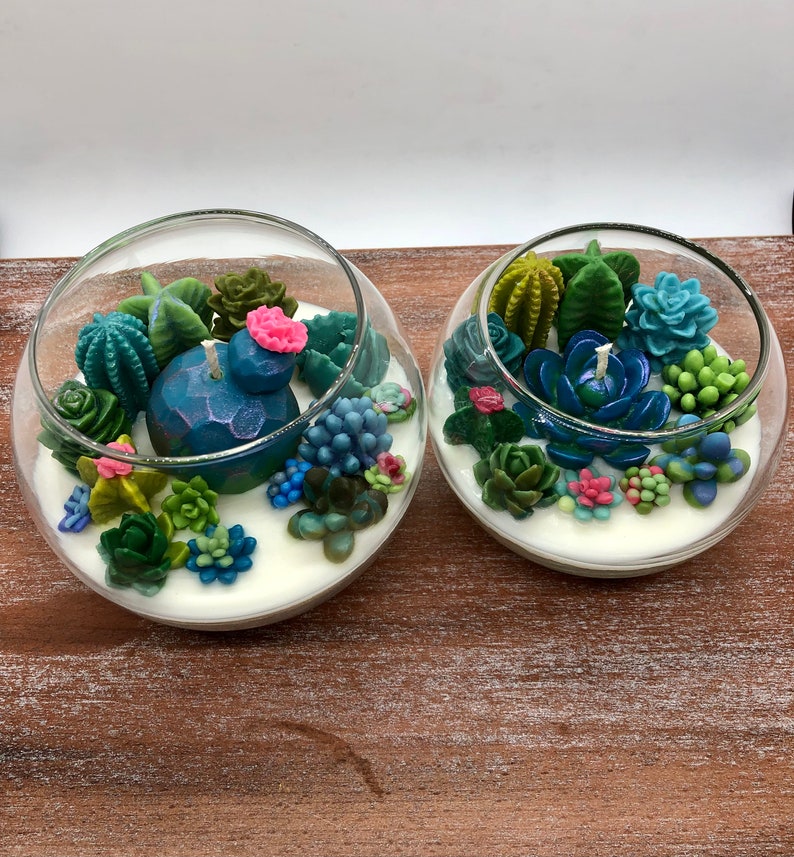 Succulent Cacti Terrarium Garden Handmade Soy Candle/Gifts for Plant Lovers/Gifts for Her/Gifts for Him image 5