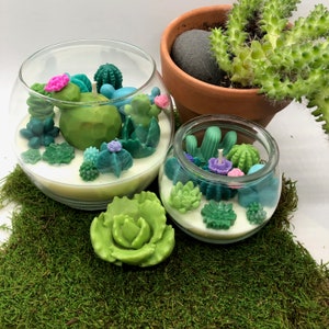 Succulent Cacti Terrarium Garden Handmade Soy Candle/Gifts for Plant Lovers/Gifts for Her/Gifts for Him image 9