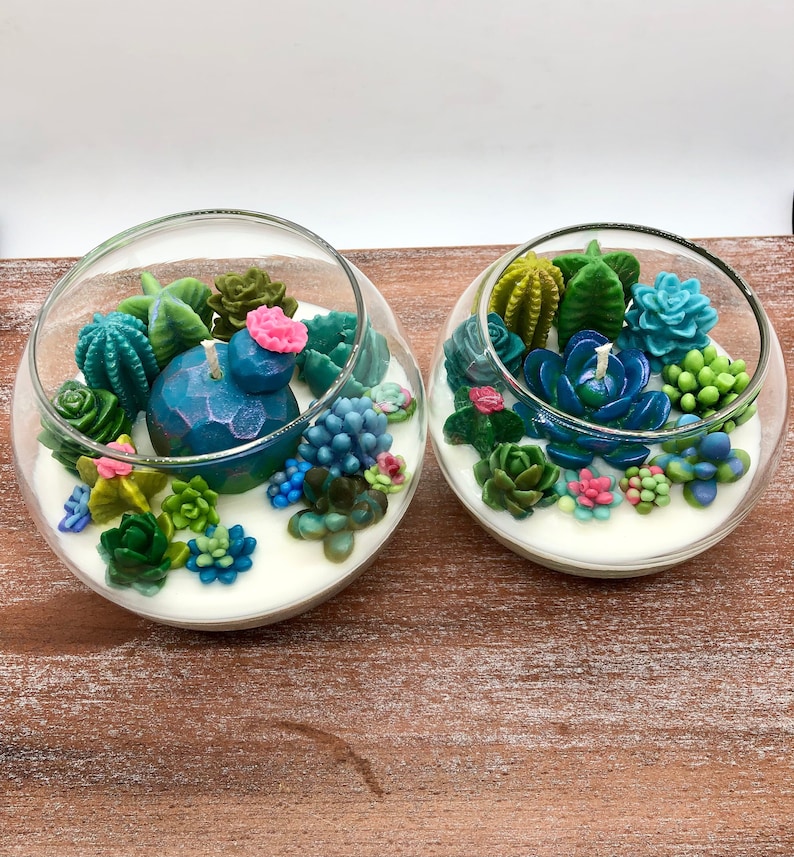 Succulent Cacti Terrarium Garden Handmade Soy Candle/Gifts for Plant Lovers/Gifts for Her/Gifts for Him image 1