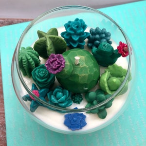 Succulent Cacti Terrarium Garden Handmade Soy Candle/Gifts for Plant Lovers/Gifts for Her/Gifts for Him image 8