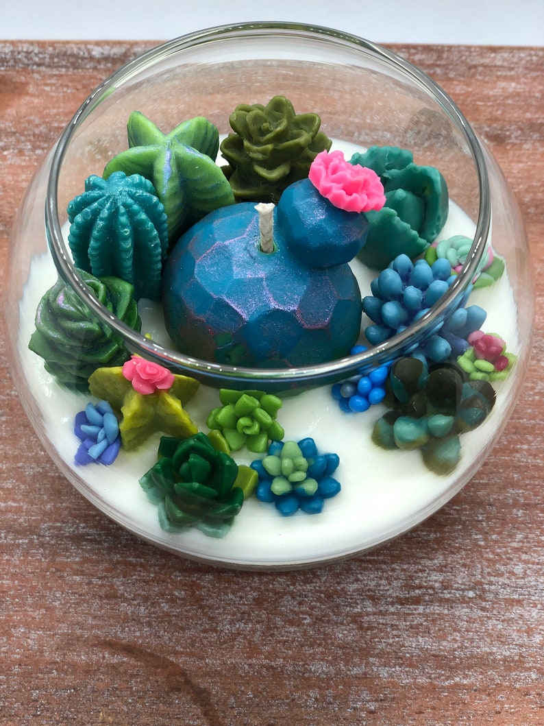 Succulent Cacti Terrarium Garden Handmade Soy Candle/Gifts for Plant Lovers/Gifts for Her/Gifts for Him image 3