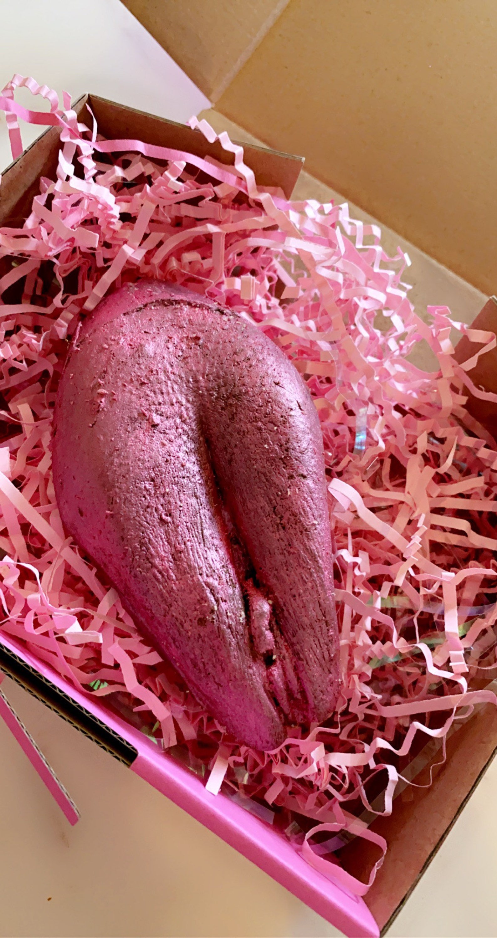 Deluxe Vagina Casting Kit Etsy