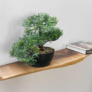 May include: A wooden shelf with a live edge design, featuring a small potted green plant and a book titled "The Great Hunt - Wheel of Time".