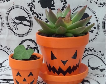 Puede incluir: Dos macetas de terracota naranja con caras de calabaza negras. La maceta más grande tiene una planta suculenta creciendo en ella. La maceta más pequeña tiene una sola hoja verde creciendo en ella. Ambas macetas están sobre un fondo blanco con patrones decorativos en blanco y negro.