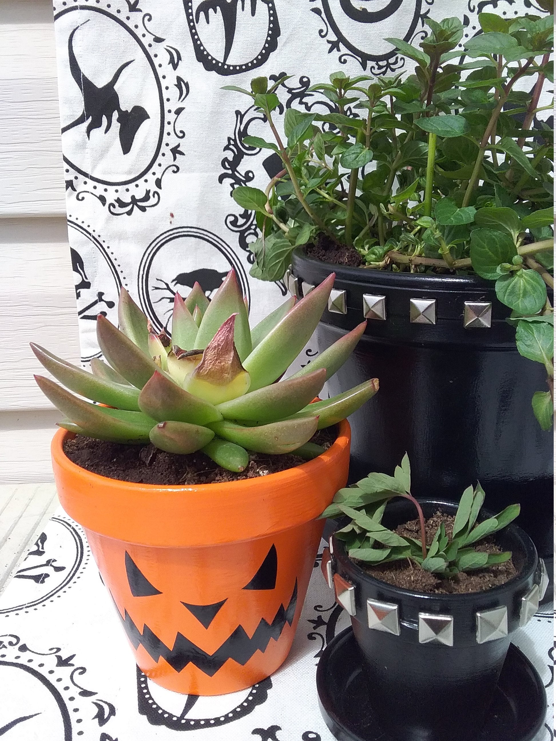 Jackolantern Planter Pumpkin Planter Jackolantern Pot Etsy
