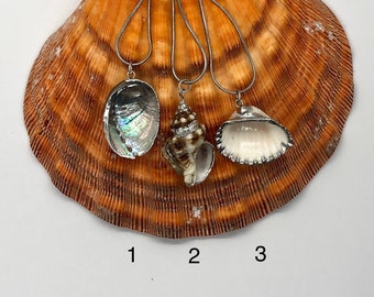 Seashell Silver Plated Necklace, Natural Seashell Necklace, Silver Plated Seashell Pendant, Seashell necklet.