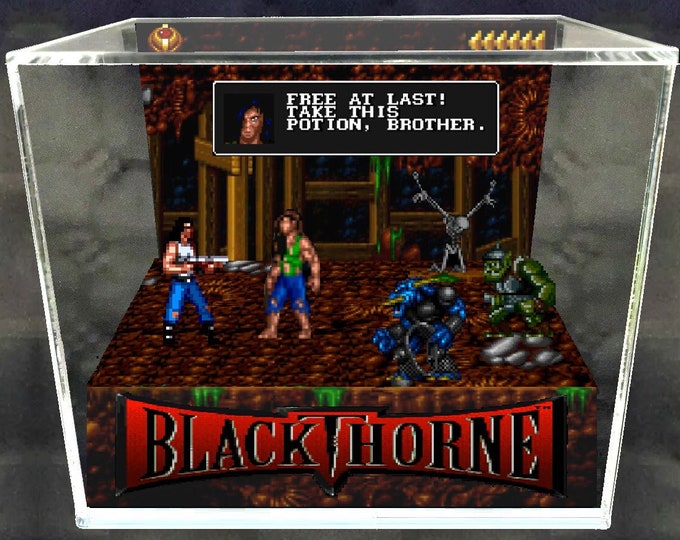 Black Thorne Diorama - 3D Videogame - Gift for Gamer - Shadow Box - Miniature - Shadow Box - Retrogame