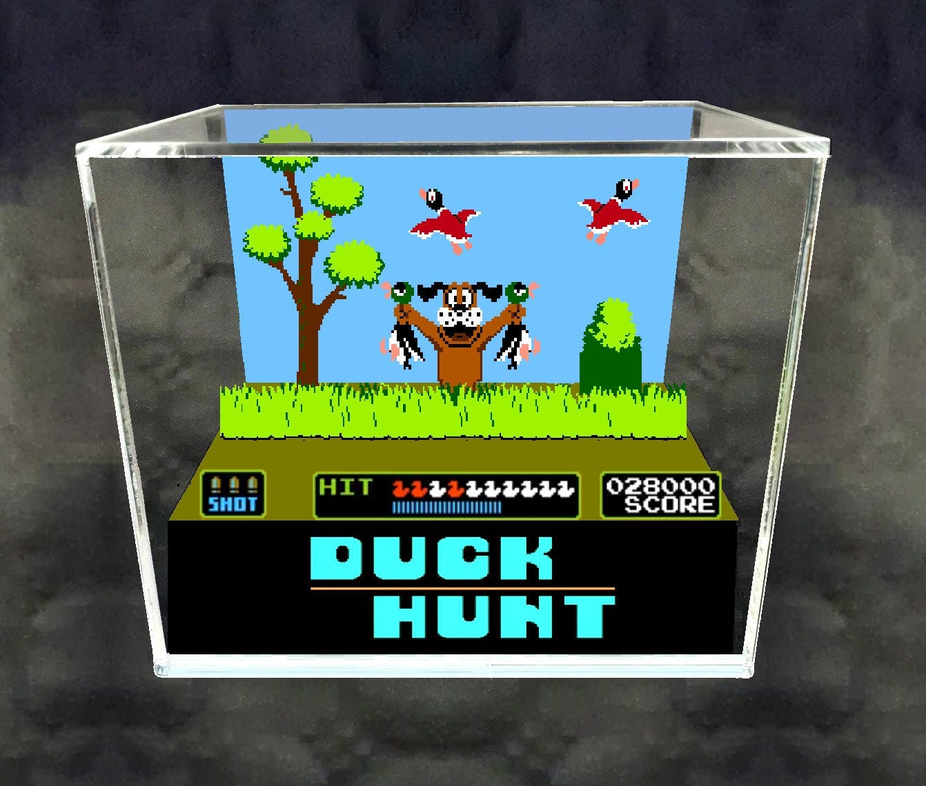 Duck-hunt