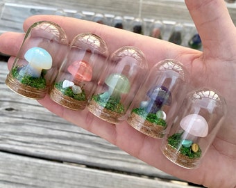 Mini Mushroom Terrariums|Choose your mushroom|Read Description