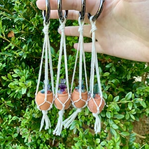 May include: Four small terracotta pots with macrame hangers and colorful crystals inside. The pots are hanging from silver rings.