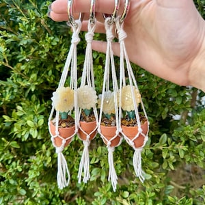 May include: Four macrame plant hangers with small terracotta pots and yellow flower accents. The hangers are attached to silver key rings.