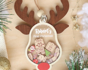 Personalized Baby First Christmas Ornament 2025, Baby 1st Christmas Ornament, Newborn Gift, Shake Babies Ornament, Baby Shower Gift