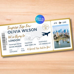 Editable Boarding Pass Template, Printable Plane Ticket, Travel Gift for Him Her, Surprise Trip Reveal Ticket, Digital Download