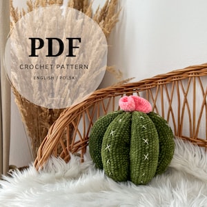 schema all'uncinetto per un grande cactus con un fiore, cuscino a forma di cactus, decorazione per la cameretta di un bambino, decorazione per la cameretta di una bambina, facile da realizzare in formato PDF