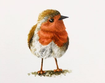 Robin Redbreast Greetings Card