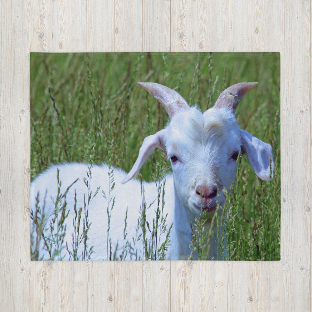 Goat Throw Blanket Etsy