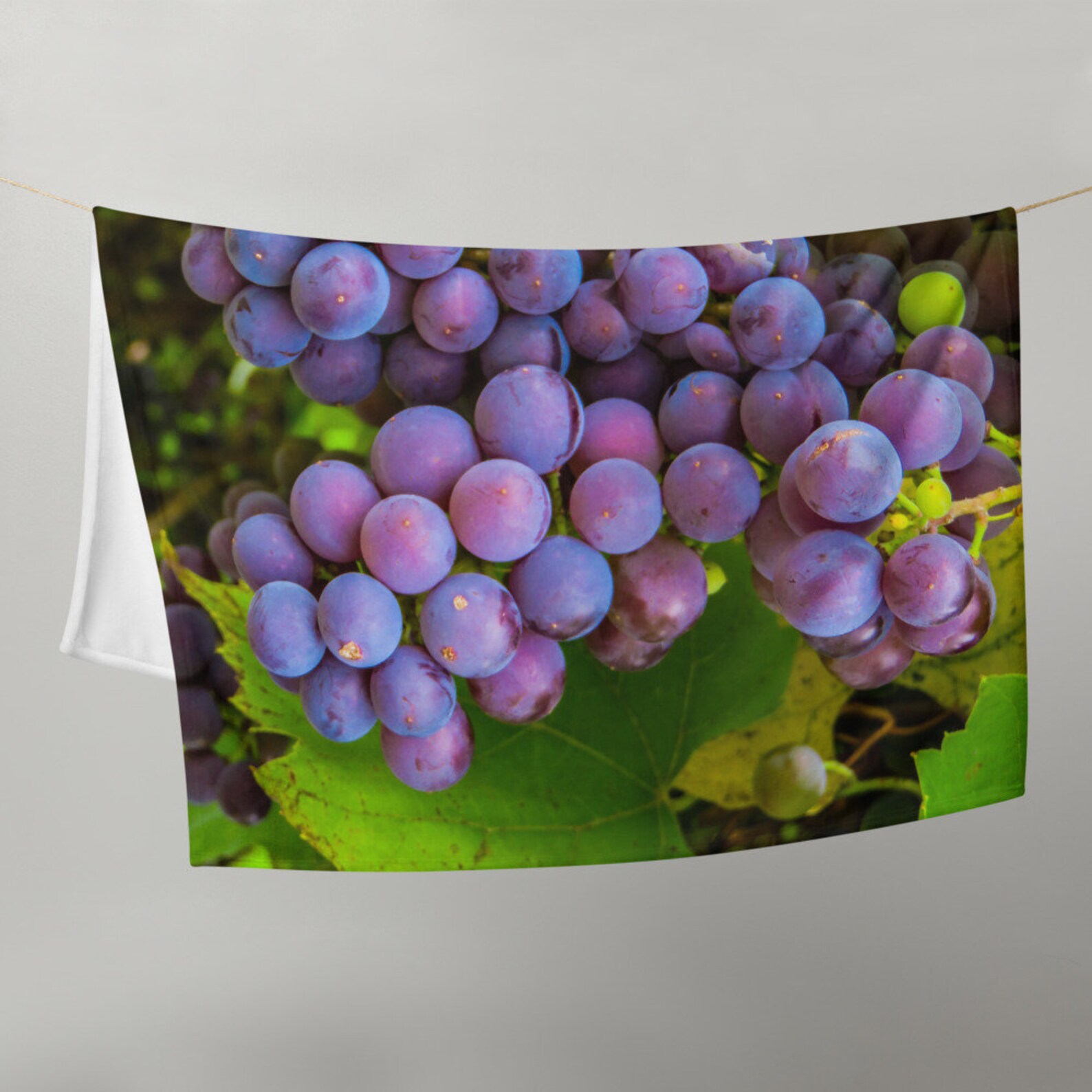 Grapes on the Vine Throw Blanket Decorative Blanket Fruit Blanket Etsy