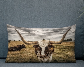 Puede incluir: Un primer plano de un toro Texas Longhorn marrón y blanco con cuernos largos de pie en un campo de hierba marrón. El toro está mirando directamente a la cámara. El cielo está nublado y gris.