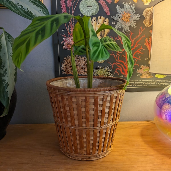 Woven planter basket with liner