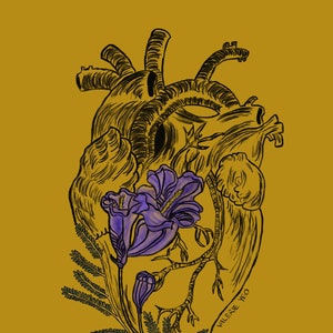 May include: A black and white anatomical heart illustration with a purple flower growing from it. The flower has a long stem and leaves. The artist's signature, "VALERIE YEO", is in the lower right corner.