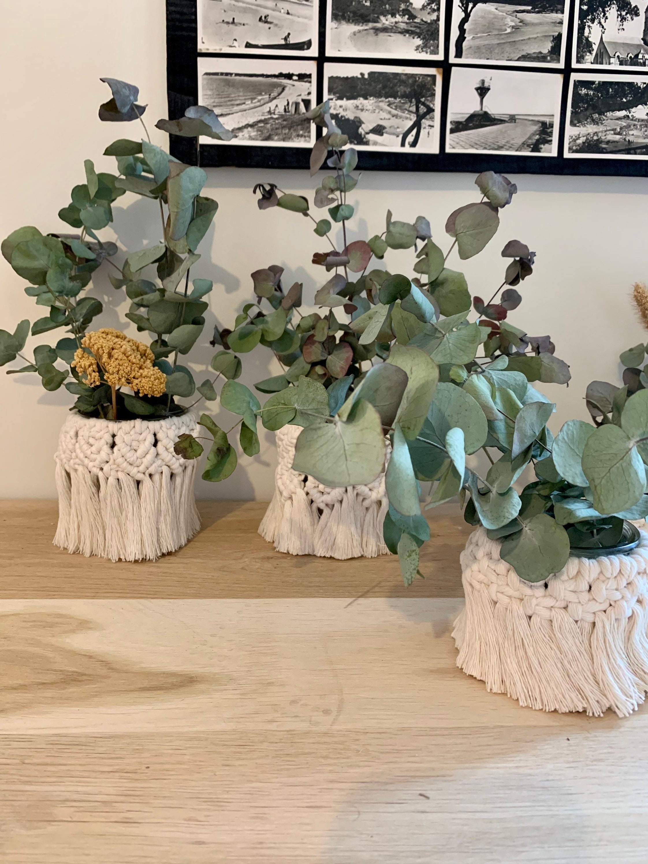 Pot Macramé 5 Versions Disponibles