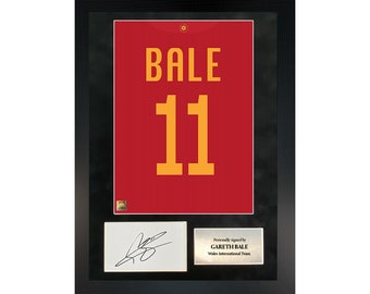Tottenham Hotspur 2012-2013 Home Long Sleeve Shirt #11 Bale - Online Store  From Footuni Japan