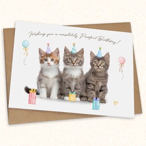 Luxury Birthday Card for Kitty Cat Lovers - Greetings Cards with Cute Pets Kittens