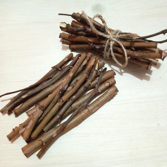 Organic Wild Rose Sticks Pet Chew Toy for Rabbits Guinea Pigs Chinchillas  and Small Pets