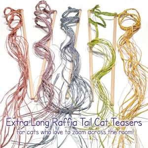 Può includere: Cinque giocattoli per gatti con coda di rafia extra lunghi con bastoncini di legno. I giocattoli sono rosa, viola, blu, verde e giallo.