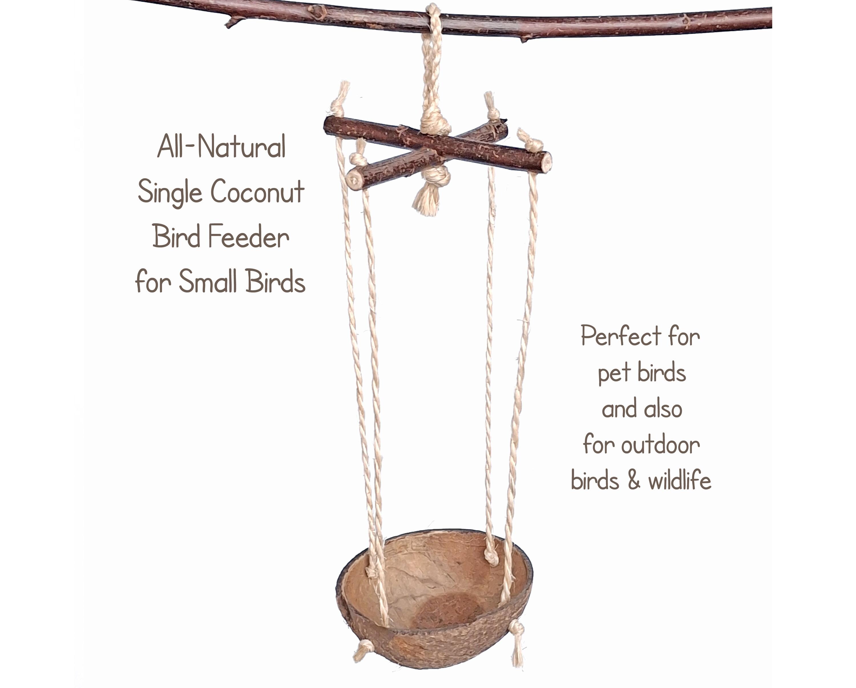 All-Natural Single Coconut Bird Feeder for Small Birds Budgies Canaries Parrotlets Small Parrots