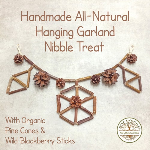Wild Blackberry Sticks & Pine Cones Christmas Garland Hanging Chew Toy for Rabbits Guinea Pigs Chinchillas Small Pets Birds Parrot Parakeet