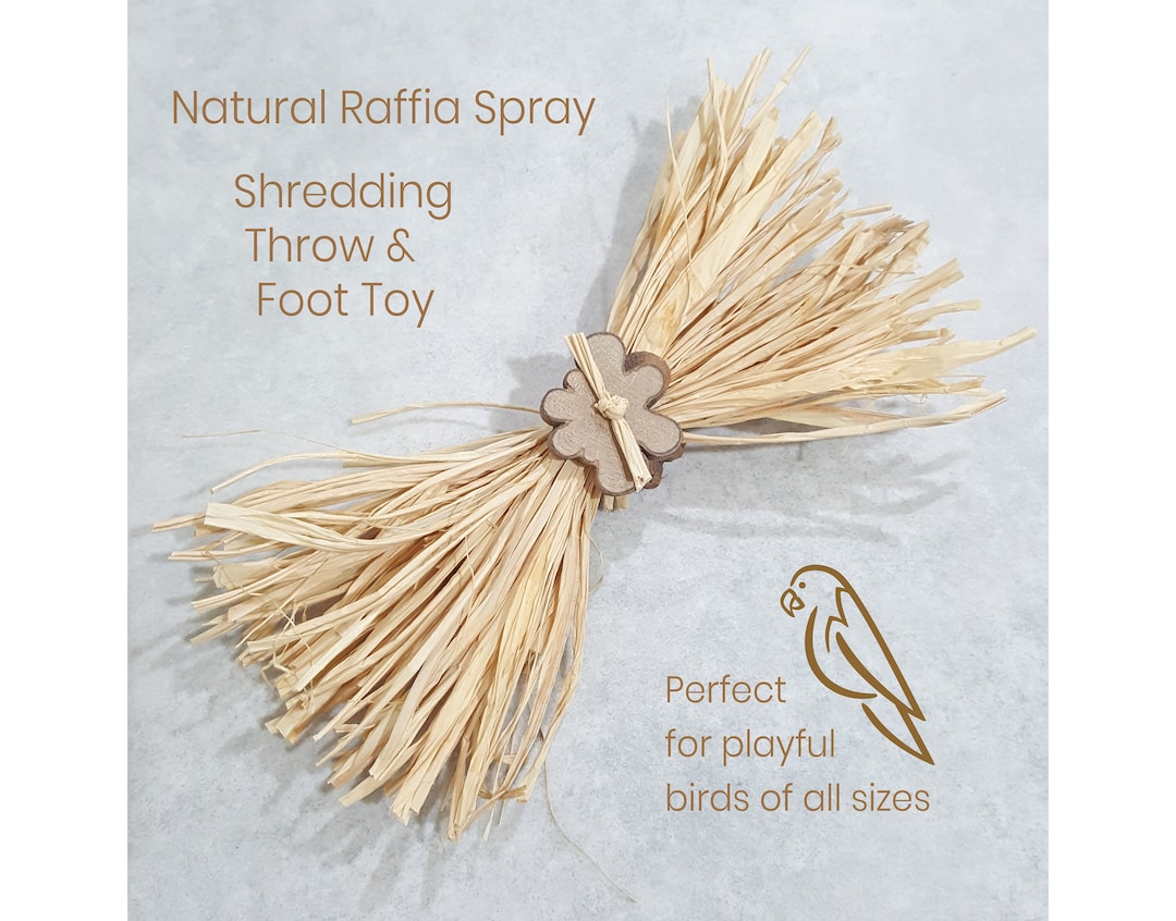 Natural Raffia Spray Safe Foot Throw Shredding Toy for Parrots