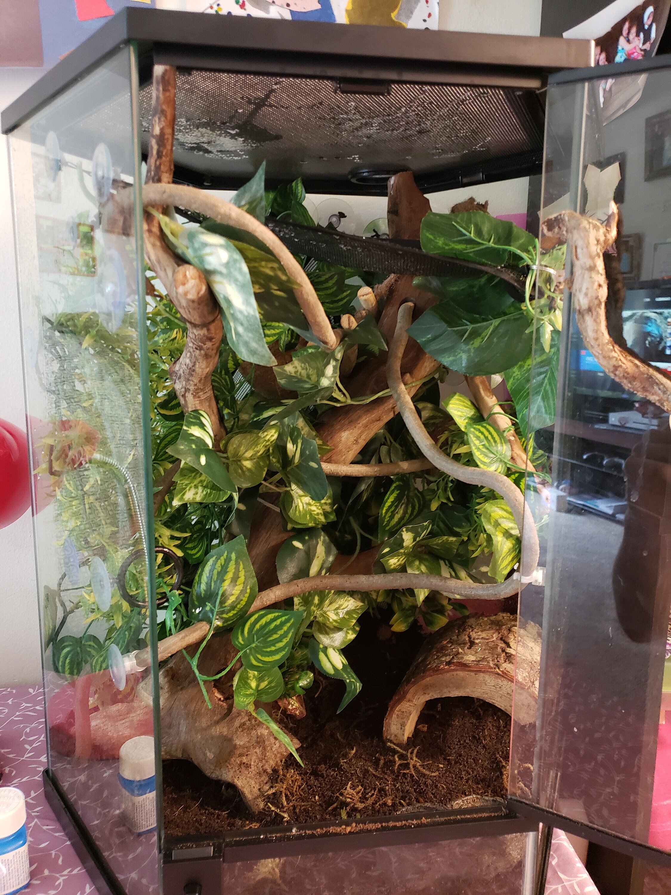 Custom Reptile Enclosures for sale Only 4 left at 65