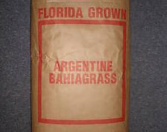 Argentine Bahia Pasture Grass