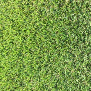 May include: Close-up of vibrant green grass, showcasing a dense, textured lawn. The blades of grass are a bright, healthy green, creating a lush, natural appearance. The image highlights the texture and color of the grass.