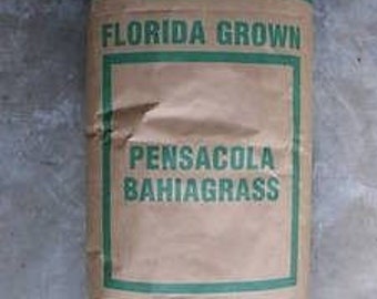 Pensacola Bahia Pasture Grass Seed Raw