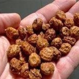 May include: A close-up of a handful of light brown, irregularly shaped, dried tubers.