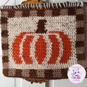 Può includere: Un arazzo da parete all'uncinetto con un motivo a scacchi marroni e beige e una grande zucca arancione al centro. L'arazzo è attaccato a un bastone di legno.