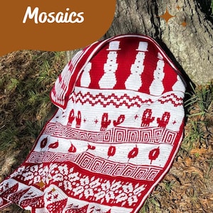 Winter Mosaics Overlay Mosaic Crochet PATTERN Only .English in US Terms