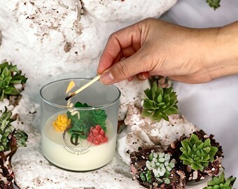 Decorative Natural Succulents Embedded Soy Scented Candle