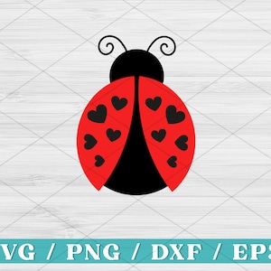 Lady Bird Svg, Love Bug SVG, Love Bug Clipart, Valentine's SVG, Love Bug PNG, Valentine's Png, Lovebug Cut File per cricut e Silhouette