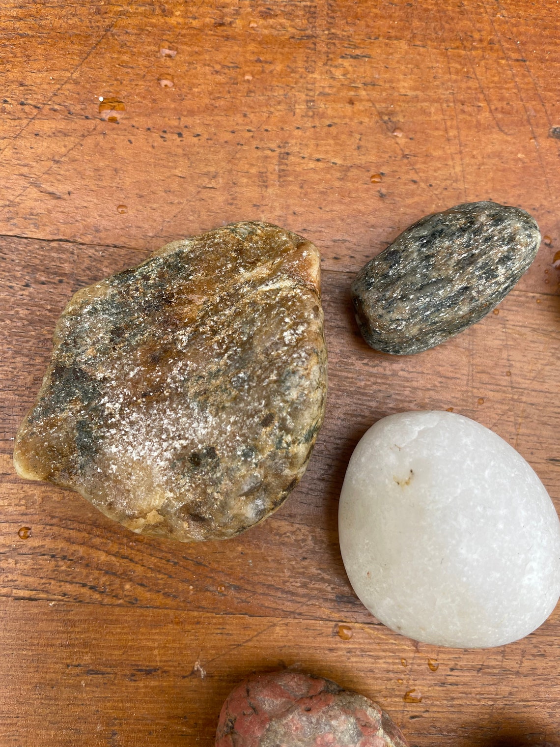 Natural Display Rocks Terrarium Stones River Rocks Rocks Etsy