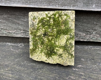 Roca de musgo para jardín, decoración natural para terrario, arte ecológico para el jardín, regalo ideal para el jardinero.