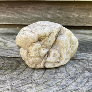Natural Rock Display, Decorative Terrarium Stone, Zen Garden Decor, Perfect for Nature Lovers