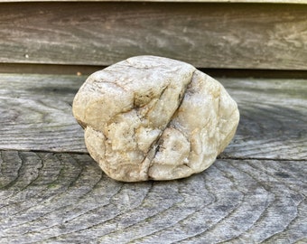 Exhibición de roca natural, piedra decorativa de terrario, decoración de jardín zen, perfecto para amantes de la naturaleza