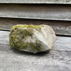Natural Moss Rock for Decoration