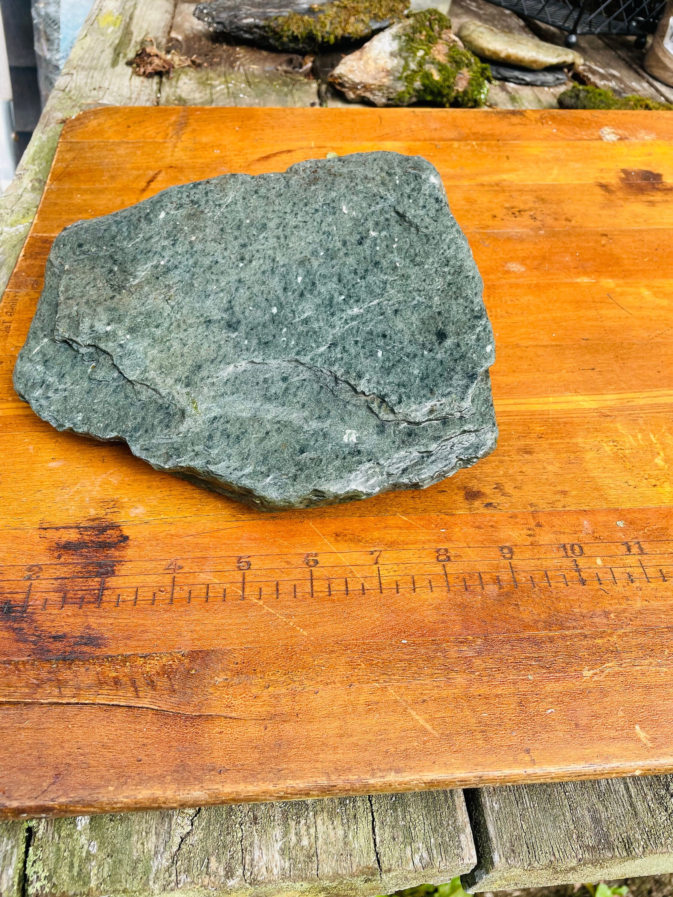 Natural Display Rock Terrarium Stone Living Stone Rock Flat Etsy