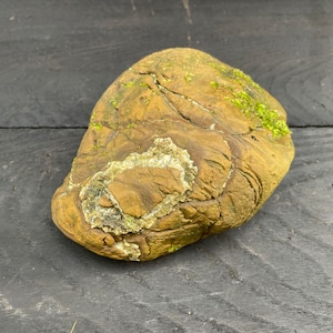 Vermont Stone with Natural Inclusion